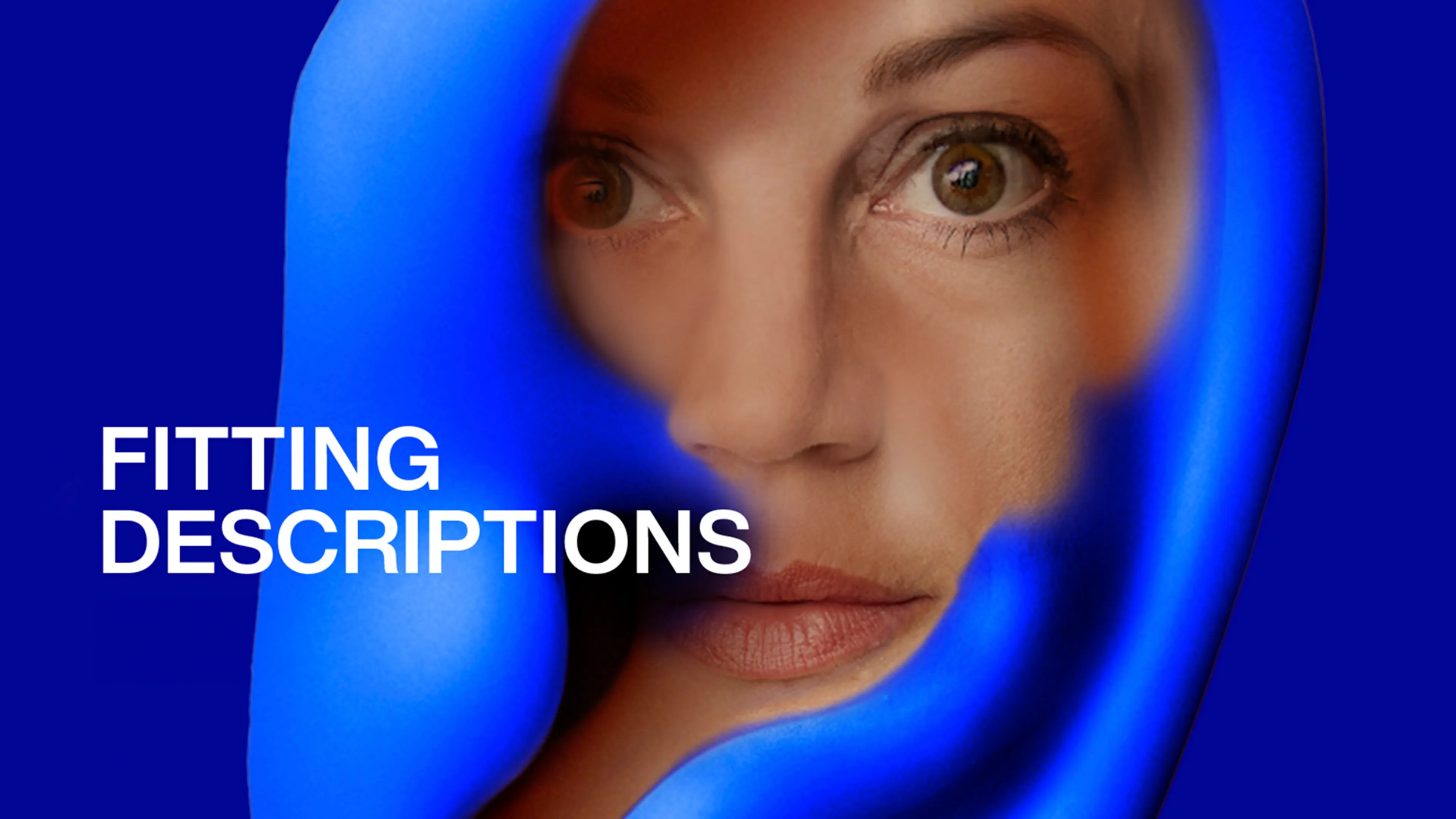 Fitting Descriptions poster